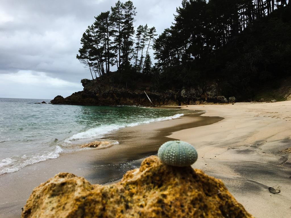 Whangamata Vistas B&B ภายนอก รูปภาพ