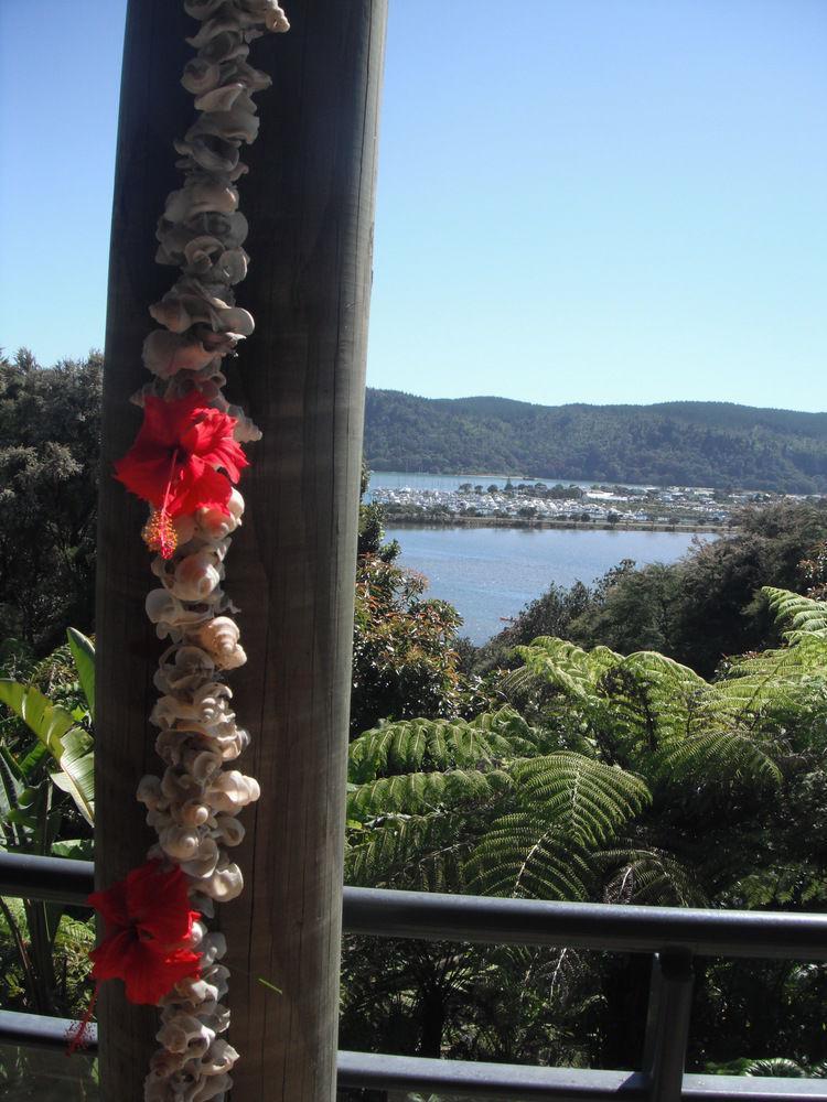 Whangamata Vistas B&B ภายนอก รูปภาพ
